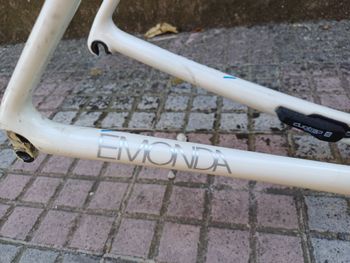 Used Trek Émonda SLR Frameset 2018 Frameset 2018 Road & Gravel, White — image 14 of 21