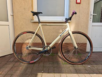 Brugt Skream Custom Frameset 2026 Urban — billede 3 af 4