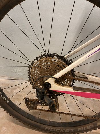 Canyon Exceed CF 6 2022 2022 Mountainbike d'occasion — image 4 sur 7