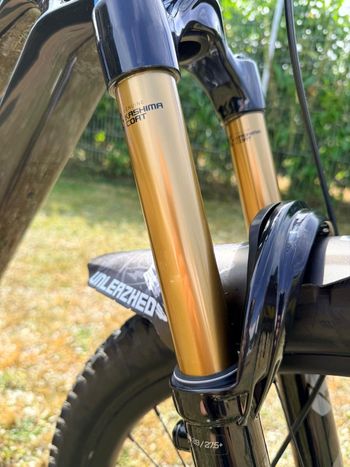 Brugt Canyon Spectral:ONfly CF 8 2025 2025 Mountainbike — billede 12 af 14
