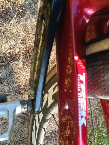 Brugt Trek Madone SLR 8 2019 2019 Road & Gravel — billede 12 af 14