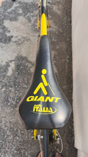 Used Giant Tcr Other Campagnolo 1999 Road & Gravel, Black — image 6 of 11