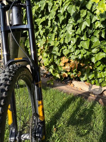YT Industries Tues 29 CORE 3 CF 2025 2025 Mountainbike usato, Grigio chiaro — immagine 6 di 9