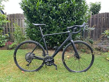 Brugt Canyon Endurace CF SL Disc 7.0 2019 2019 Road & Gravel