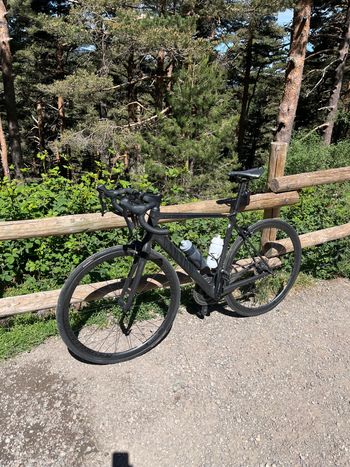 Brugt Canyon Endurace CF 7.0 2020 2020 Road & Gravel — billede 2 af 3