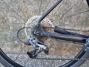 Used Specialized Sequoia Elite 2020 2020 Road & Gravel, Green — image 7 of 8