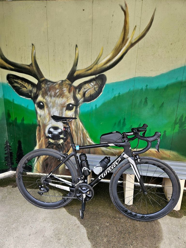 Wilier GTR Team SHIMANO 105 R7000 (BR-R7010-RS) 2022 | buycycle