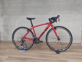 Used Lapierre Junior 2025 Kids & Youth