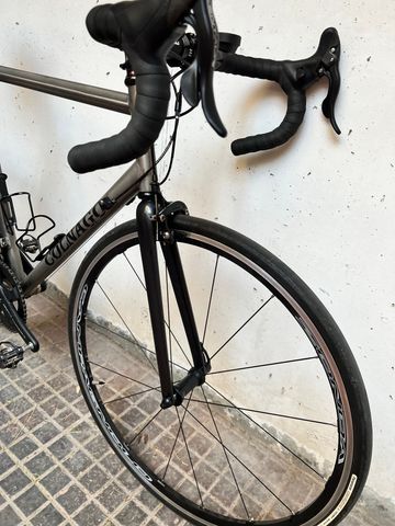 Used Colnago Monotitan 2000 Road & Gravel, Light Gray — image 2 of 6