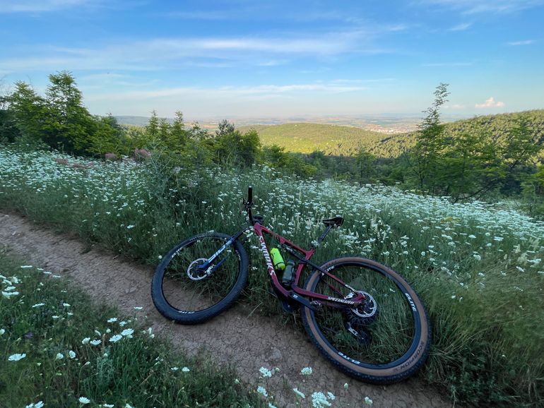 Brugt Specialized S-Works Epic 2022 Frame Frameset | M Frameset 2022 Mountainbike — billede 15 af 15