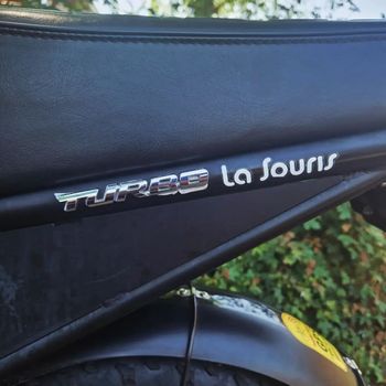 La souris Custom Shimano Tourney 2018 Mountainbike d'occasion — image 7 sur 19