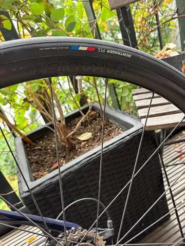 Brugt Trek Émonda SL 5 2024 2024 Road & Gravel — billede 17 af 18