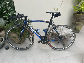 Gebrauchtes Pinarello Custom Campagnolo Record 2010 Road & Gravel