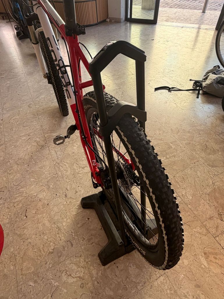 Used Focus Custom Shimano Deore XT 2012 Mountainbike, White — image 3 of 3