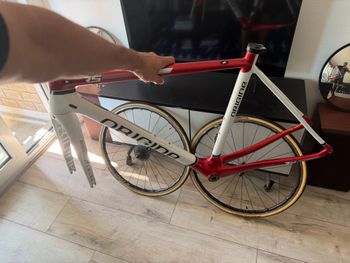 Used Origine Axxome Frameset 2022 Road & Gravel, White — image 5 of 7
