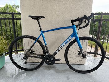 Used Trek Domane AL 3 Disc 2023 2023 Road & Gravel