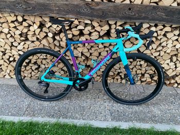 Used Bianchi Zolder Pro Ultegra 2025 2025 Road & Gravel