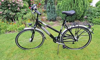 Alu Da.Trekk 28" Bergsieger '12 24-Gg. Dual Drive Custom 2012 Urbain & Touring d'occasion
