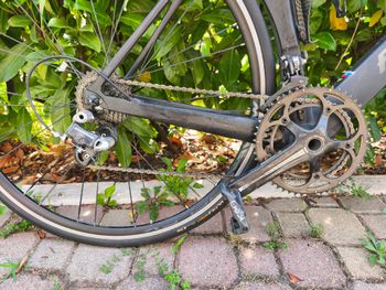 Used Fontana Custom Campagnolo Record 2017 Road & Gravel, Black — image 3 of 11