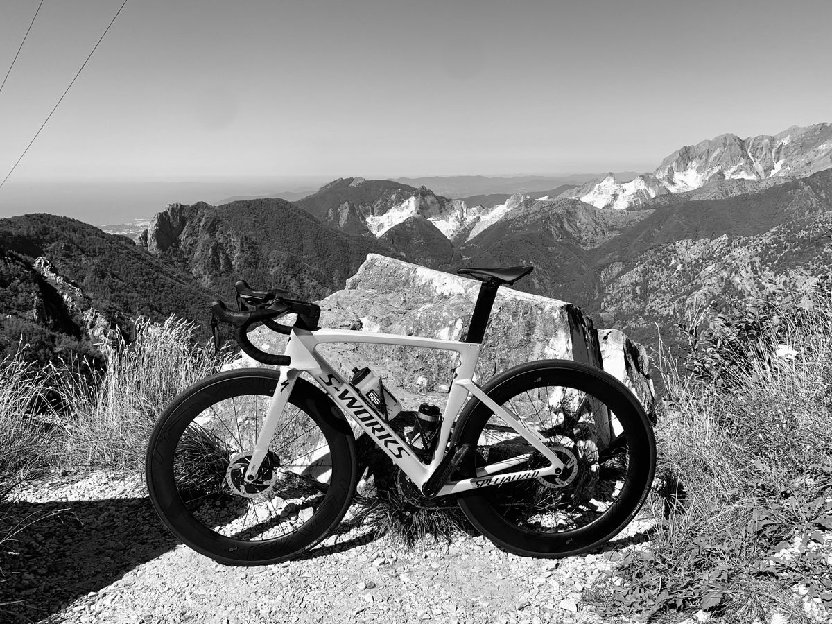 Specialized S-Works Venge 2020 | buycycle