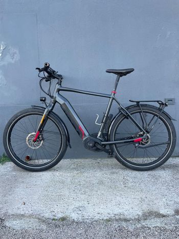 Used Koga Custom 2022 Urban, Light Gray — image 2 of 3