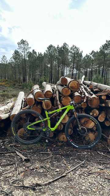 Used Santa Cruz BLUR X0 AXS TR RSV / Carbon CC 2024 2024 MTB