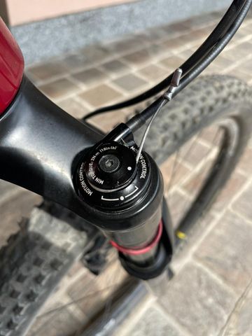 Brugt Rockrider XC 900 2020 Mountainbike — billede 31 af 38