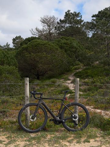 Gebrauchtes Cervélo Soloist Shimano Ultegra Di2 2026 Road & Gravel, Schwarz — Bild 4 von 15