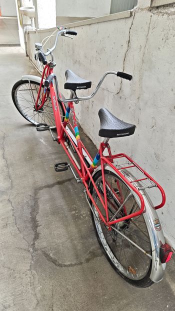 Used Bottecchia Tandem 1995 Urban & Touring