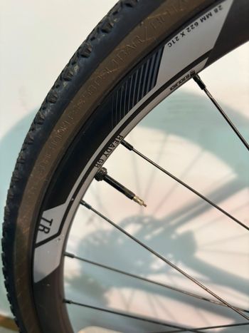 Used Megamo SILK 10 2025 2025 Road & Gravel, White — image 8 of 13