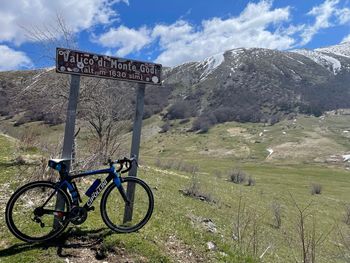 Použité Cipollini Logos Shimano Ultegra 2019 Road & Gravel — obrázek 2 z 3