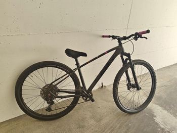 Used BH EXPERT 5.0 2024 2024 Mountainbike, Light Gray, 29 — image 5 of 8