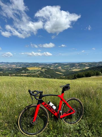 Gebrauchtes Trek Madone SL 6 2021 2021 Road & Gravel, Rot — Bild 12 von 12