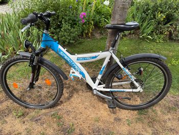 Used Sabotage Custom Other Shimano 2008 Kids & Youth