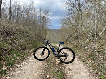 Brugt Trek Procaliber 9.5 2022 2022 MTB