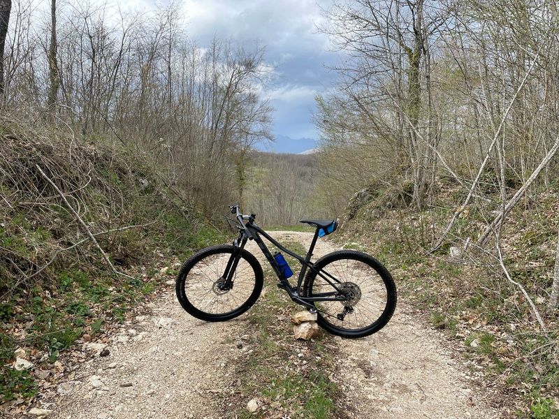 Trek Procaliber 9.5 2022 2022 Mountainbike usato, Nero — immagine 1 di 3
