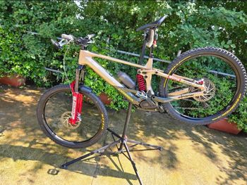 Used Orbea WILD H10 2025 2025 MTB