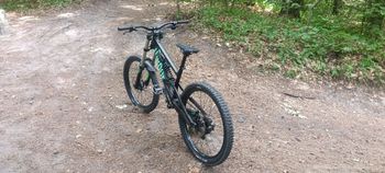 Tweedehands Canyon Torque DHX 2014 2014 MTB