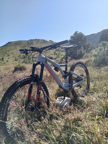 Used Orbea RALLON M20 2021 2021 MTB