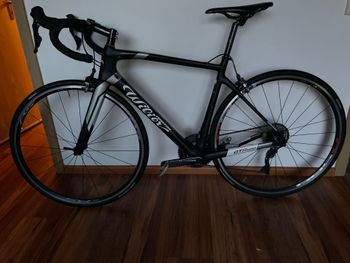 Gebrauchtes Wilier Gtr team Shimano Ultegra 2020 Road & Gravel, Schwarz — Bild 5 von 6