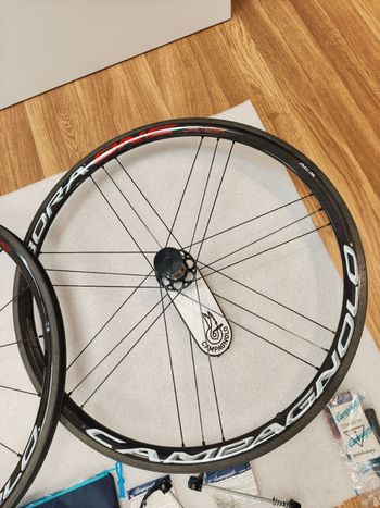 Used Colnago Master Frameset 2019 Frameset 2019 Road & Gravel, White — image 16 of 18
