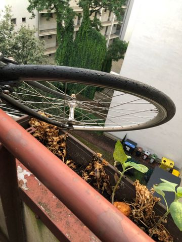 Tweedehands No Name, Hand made Custom Campagnolo Super Record EPS 2020 Road & Gravel — afbeelding 3 van 7