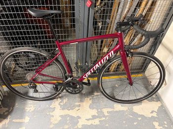 Used Specialized Allez 2021 2021 Road & Gravel