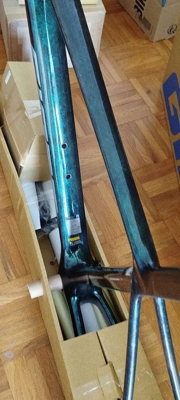 Gebrauchtes Giant TCR Advanced SL Frameset 2025 Frameset 2025 Road & Gravel, Grün — Bild 6 von 6