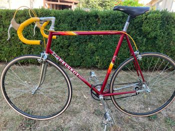 Brugt Peugeot Custom Other 1986 Road & Gravel — billede 13 af 23