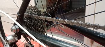Colnago Custom Campagnolo Veloce 2007 Road & Gravel usato, Nero — immagine 7 di 8
