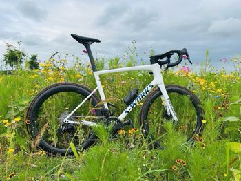 Used Specialized Tarmac SL8 Pro - SRAM Force eTAP AXS 2025 2025 Road & Gravel