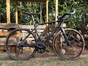 Canyon Endurace CF SL Disc 7.0 2021 2021 Corsa & gravel usato