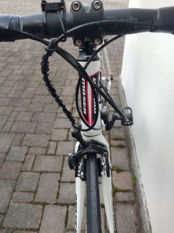 Used Moser Speed 2010 Road & Gravel, White — image 11 of 17