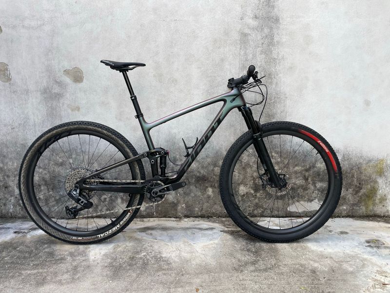 Gebrauchtes Giant Anthem Advanced 29 1 2024 2024 MTB